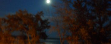 cropped-cropped-night-with-moon1.jpg
